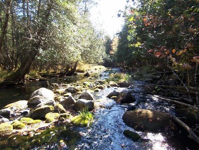 Down Stream