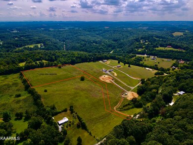 419D7E23-A653-47BA-8B03-BC8EC52D01A9_1_2