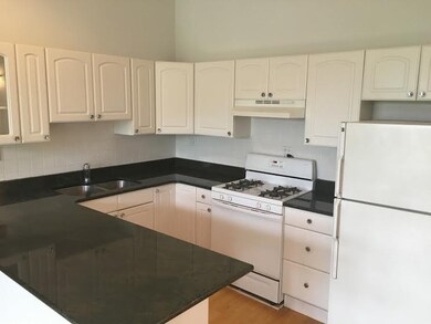 724 S Oakley Blvd unit 3, Chicago, IL 60612 - photo 4