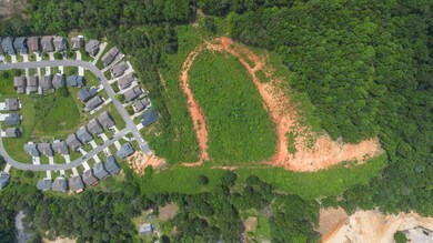 DJI_0822