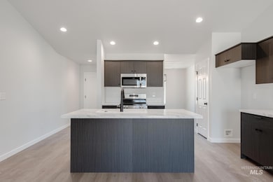 Kitchen featuring stainless steel appliances, light wood-style floors, modern cabinets, dark brown cabinets, and recessed lighting