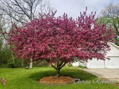 12920 Vergennes St SE, Lowell, MI 49331 - photo 2