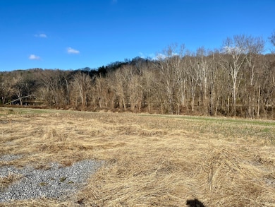 1620 E Highway 25 70, Newport, TN 37821 - photo 3