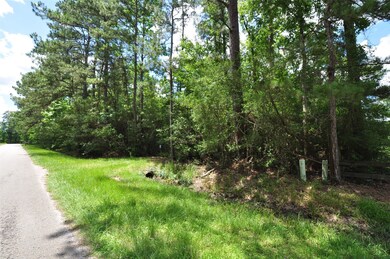 10106 Seneca Trail, Magnolia, TX 77354 - photo 3