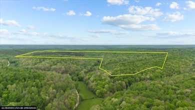 0 Sykes Branch Rd, Waverly, TN 37185 - photo 3