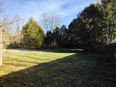 Backyard 2