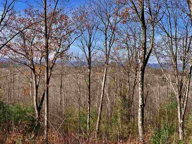 294 Mount Hunger Rd, Henniker, NH 03242 - photo 2