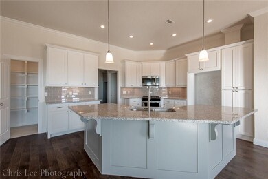 461 Via Stelvio Ave, Springdale, AR 72762 - photo 6