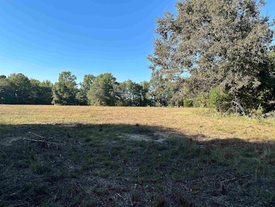 TBD County Road 3701, Murchison, TX 75778 - photo 5