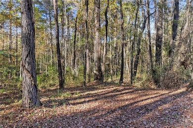 14110 Mary Dr, Coker, AL 35452 - photo 5