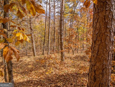 0 Galway Dr unit 10650912, Kingston, GA 30145 - photo 4