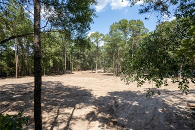 15209 Saddlewood Dr, Conroe, TX 77384 - photo 3