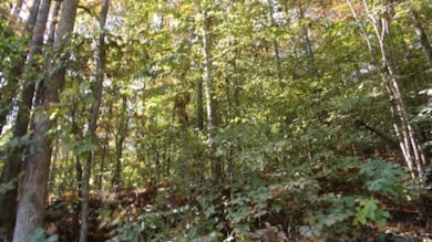 8.60ac Moss Arcot Rd, Celina, TN 38551 - photo 2