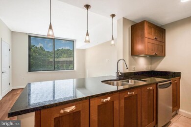 Midtown Alexandria Station Condominiums unit 617, Alexandria, VA 22303 - photo 3