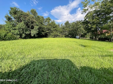 441 Park St, Wiggins, MS 39577 - photo 3