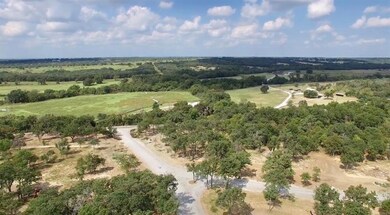 321 Arborview Dr, Weatherford, TX 76485 - photo 4