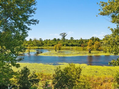 4437 Old Buck Creek Rd, Longs, SC 29568 - photo 6