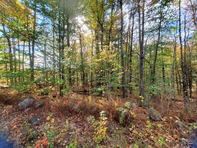 0 Windsor Rd unit 9 4887482, Hillsborough, NH 03244 - photo 7