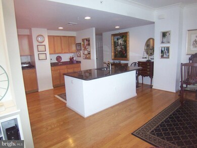4490 Market Commons Dr unit 704, Fairfax, VA 22033 - photo 7