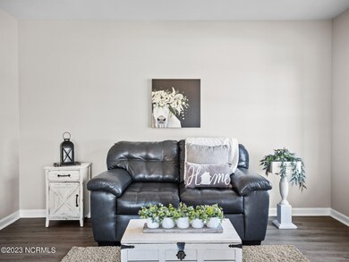 50-web-or-mls-P2130154