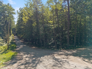 Mp44Lt270 Silver Ln, Limerick, ME 04048 - photo 3