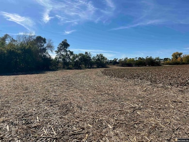 Parcel 3 Spring Saunders County Acreages County Rd, Yutan, NE 68073 - photo 4