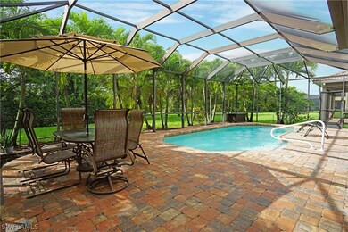 Pool & Deck