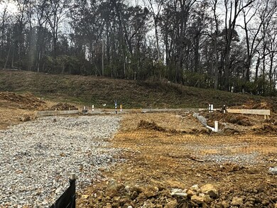 6200 Sycamore Stream Rd, Dandridge, TN 37725 - photo 2