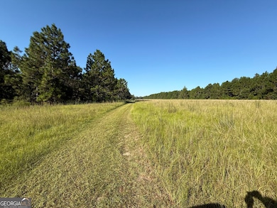 0 Sunbury Rd unit TRACT 4 10599355, Daisy, GA 30417 - photo 3