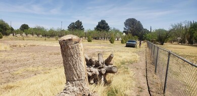 205 Fresno Dr, El Paso, TX 79915 - photo 5