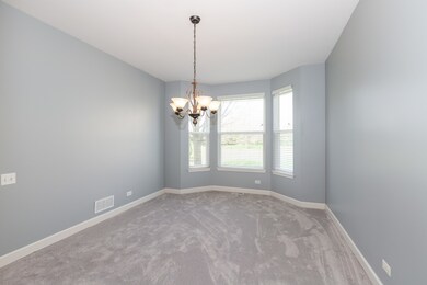 12 Georgetown Ct, Algonquin, IL 60102 - photo 5