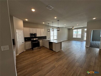 1865 Longmire Loop, Temple, TX 76502 - photo 4