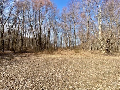 ac Goodwin Schoolhouse Point Isabel Rd, Franklin Township, OH 45106 - photo 2