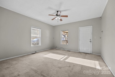 219 Link St, Fort Mill, SC 29715 - photo 5