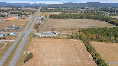 3 acres Highway 431 S, Owens Cross Roads, AL 35760 - photo 7