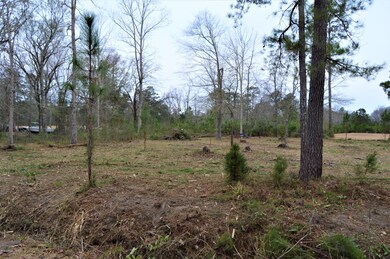 1.35 E Wilmington St, Burgaw, NC 28425 - photo 3