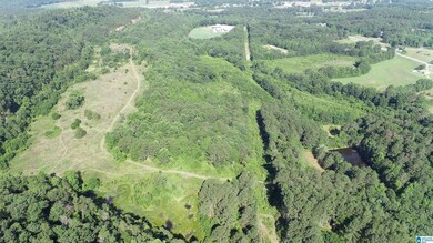 0 U S 231 unit 21390284, Oneonta, AL 35121 - photo 3