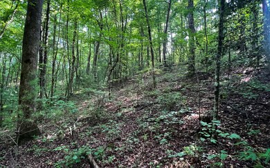 Additional View