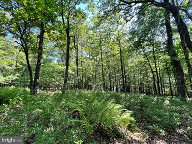 7751 Greenwalt Gap, Franklin, WV 26807 - photo 5