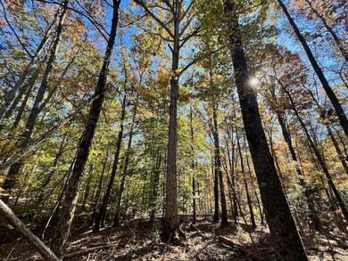 0 Pine Ridge Dr unit LotWP001, Elberton, GA 30635 - photo 5