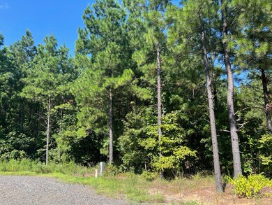 53 Weathered Timber Trail, Broken Bow, OK 74728 - photo 6