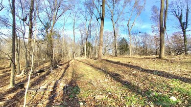 474726 E 660 Rd, Westville, OK 74965 - photo 5