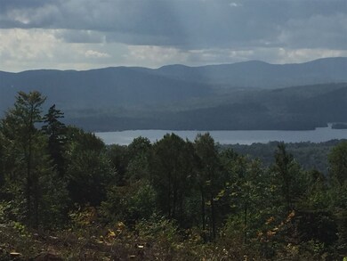 00 Coach Rd, Bridgewater, NH 03222 - photo 3