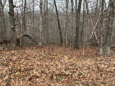 Nice partially wooded lot.