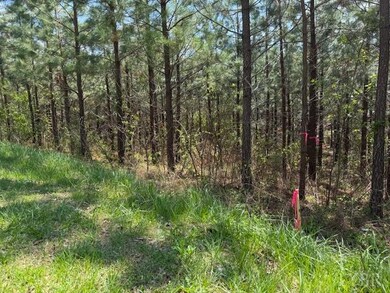 6 Spencer Rd, Concord, VA 24538 - photo 6