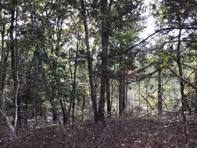 0 Sassafras Ridge Rd unit 1999789, Linden, TN 37096 - photo 7