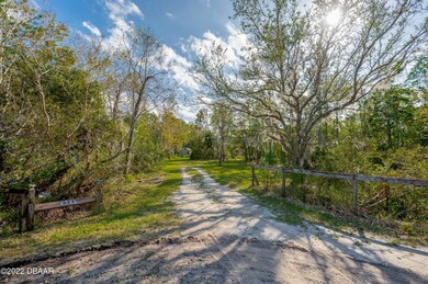 4546 Treebrook Rd, New Smyrna Beach, FL 32168 - photo 3