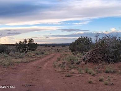 203 County Rd N5380 --, Concho, AZ 85924 - photo 4