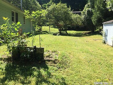Backyard.