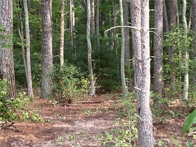View of nature